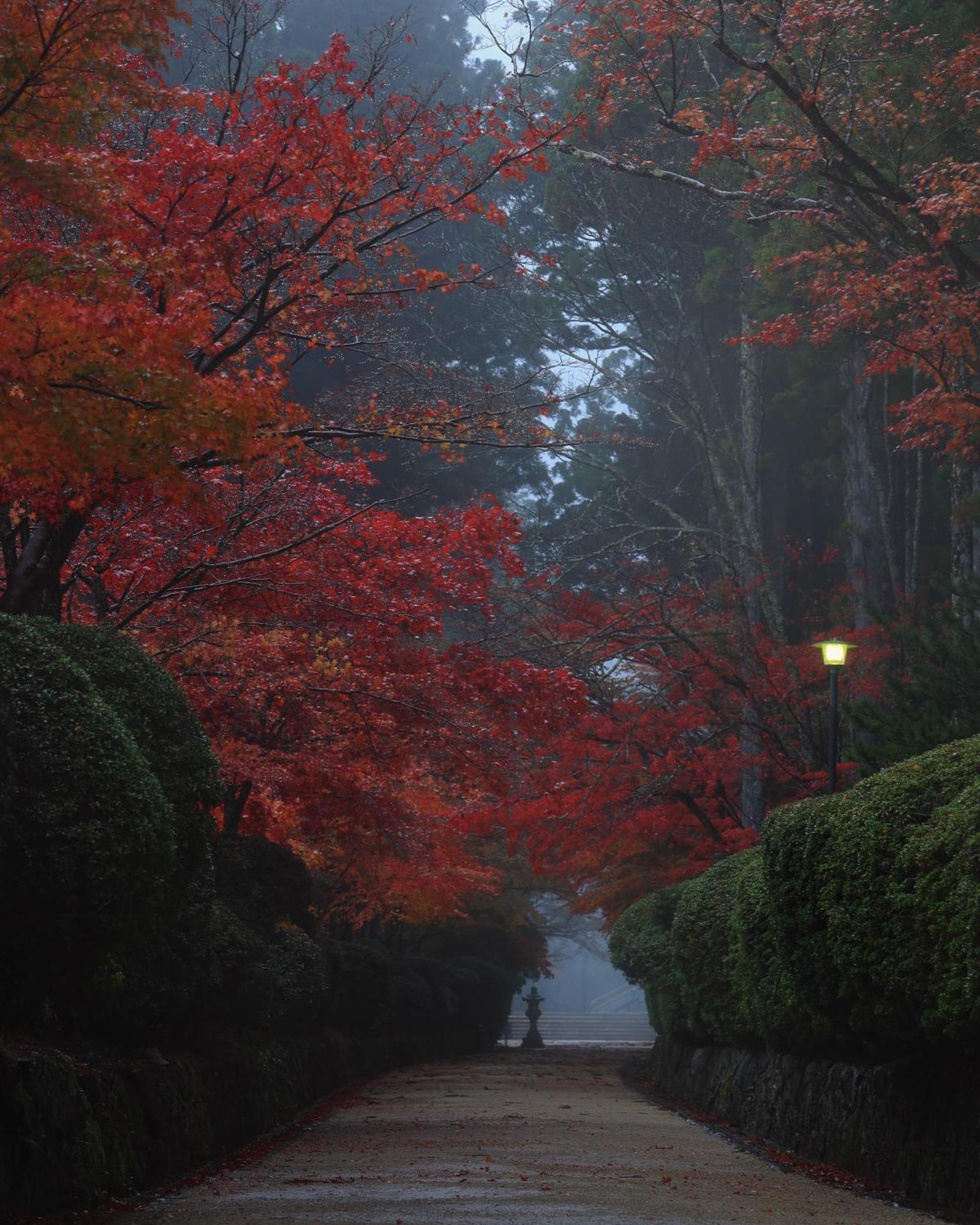 Koyasan Guesthouse Kokuu Экстерьер фото