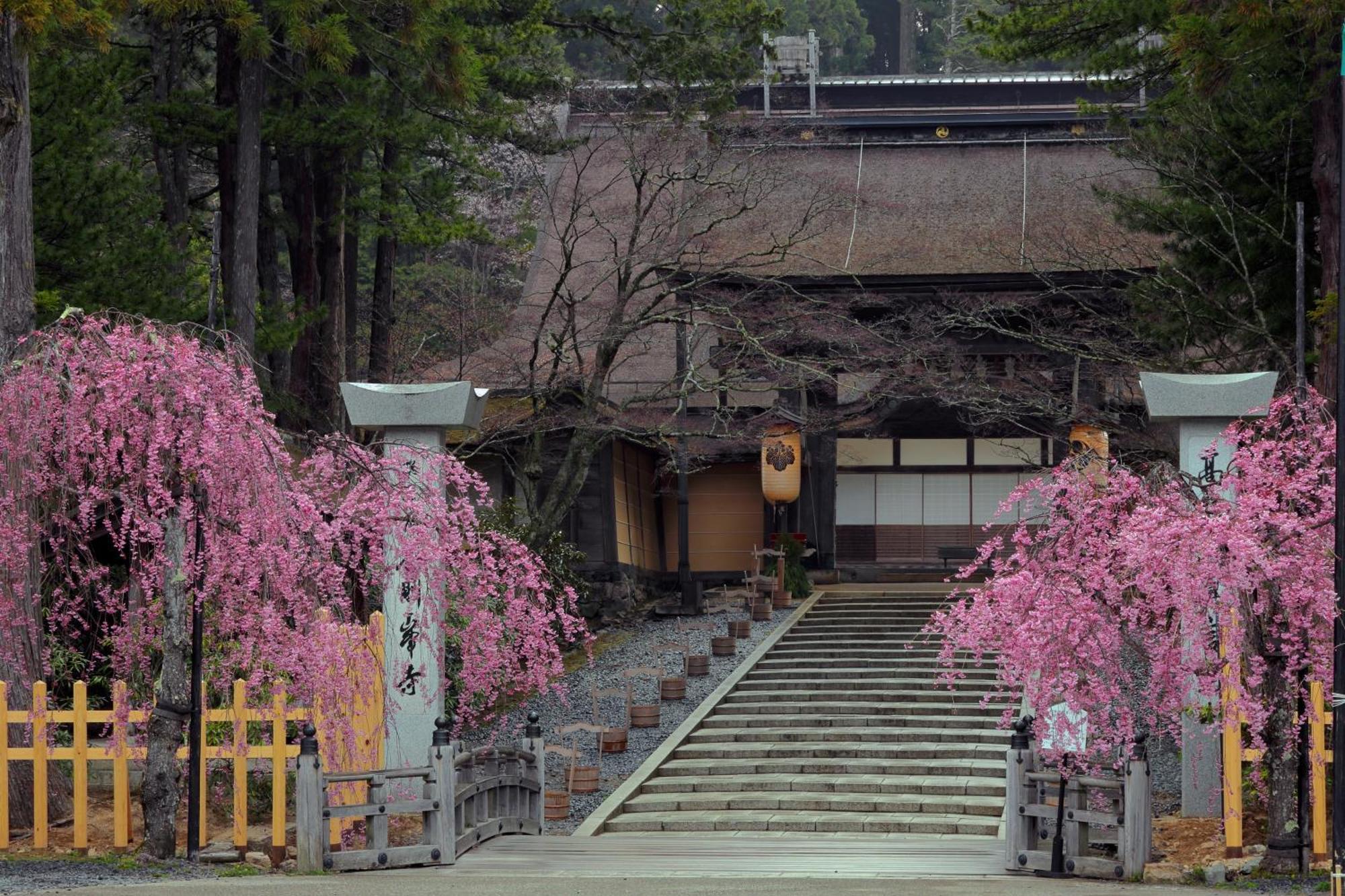 Koyasan Guesthouse Kokuu Экстерьер фото